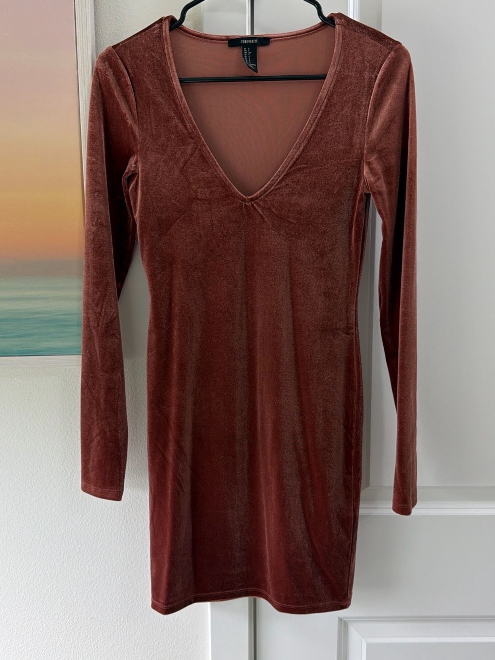 Forever 21 Rust Velvet V-Neck Long-Sleeve Mini Dress